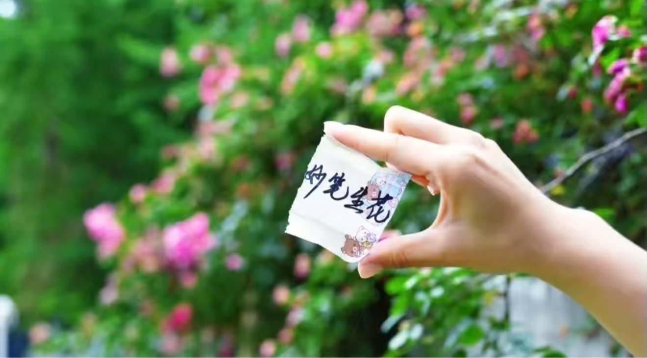 开云(kaiyun)手机在线登录